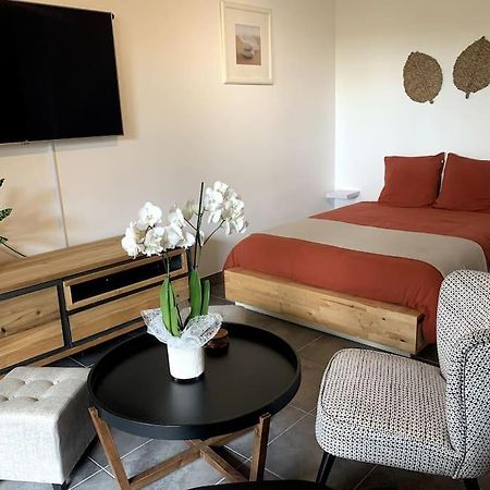 Grand Studio Avec Coin Nuit, Proche Mer Et Montagnes Roquebrune-sur-Argens Eksteriør bilde