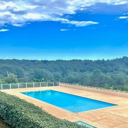 Grand Studio Avec Coin Nuit, Proche Mer Et Montagnes Roquebrune-sur-Argens Eksteriør bilde