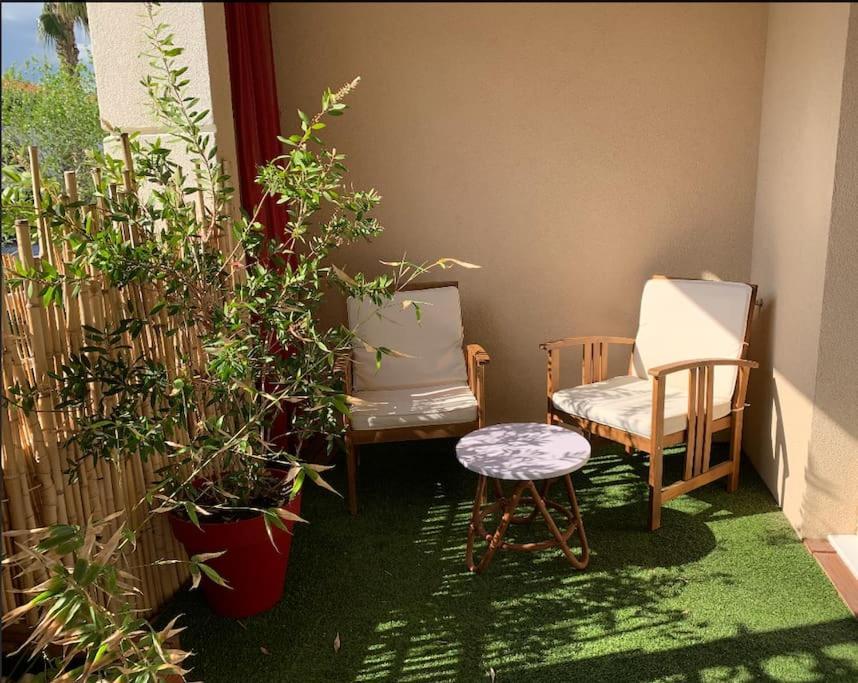 Grand Studio Avec Coin Nuit, Proche Mer Et Montagnes Roquebrune-sur-Argens Eksteriør bilde
